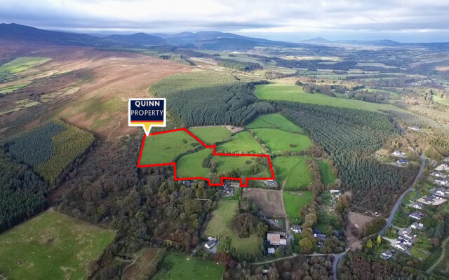 Laragh East, Glendalough, Co. Wicklow – Auction Report