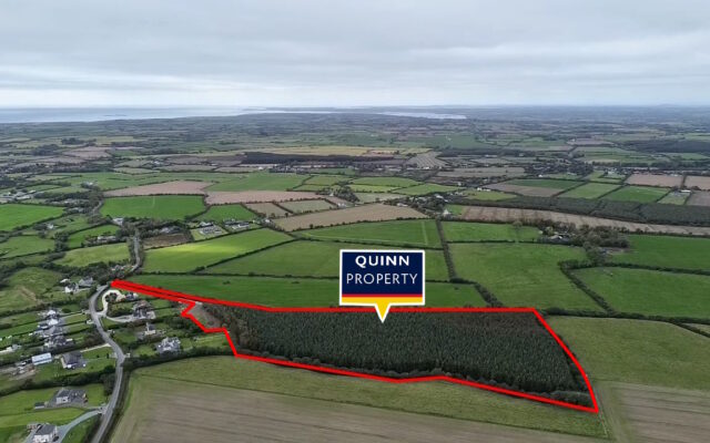 Moortown Little, Ballymitty, Co. Wexford – Auction Report