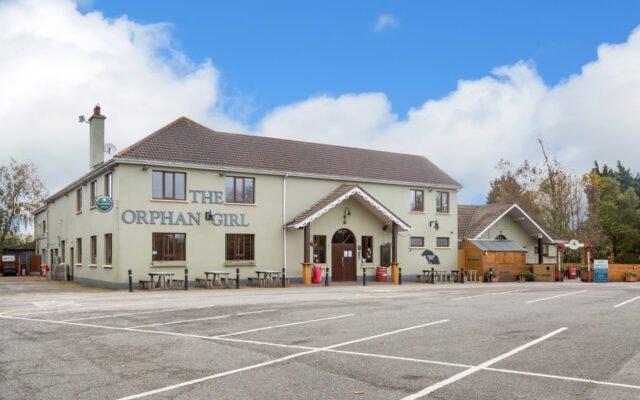 The Orphan Girl, Ballymoney, Gorey, Co. Wexford – Auction Report