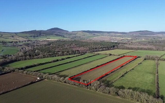 Camolin Park, Camolin, Co. Wexford – Auction Report