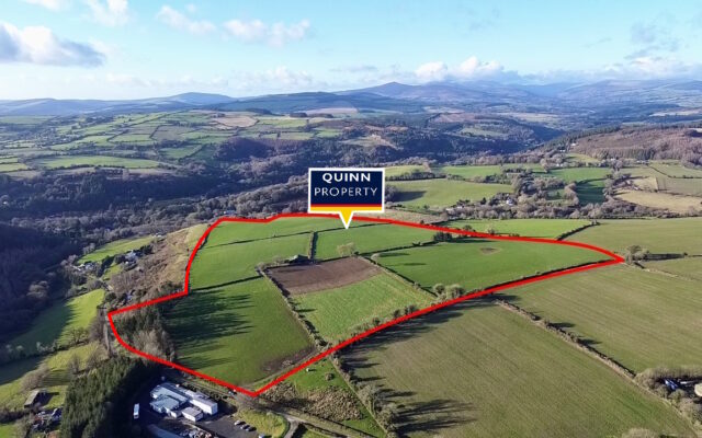 Knockanree, Avoca, Co. Wicklow – Auction Report