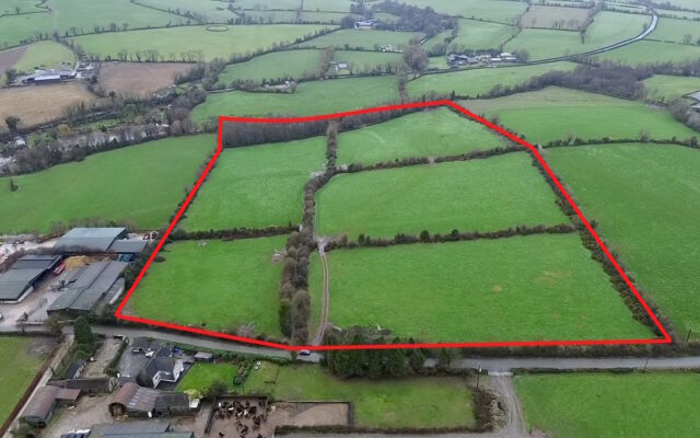 Craanhill, Gorey, Co. Wexford – Auction Report