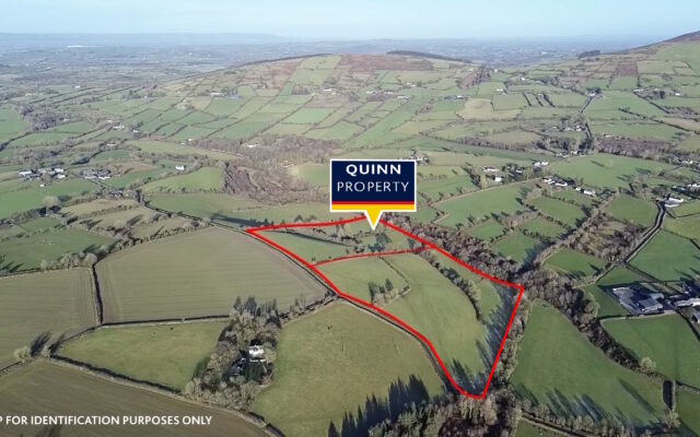 Rosdellig, Borris, Co. Carlow – Auction Report