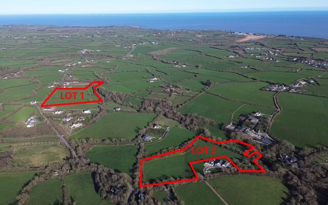Cullenogue, Inch, Gorey, Co. Wexford – Auction Report