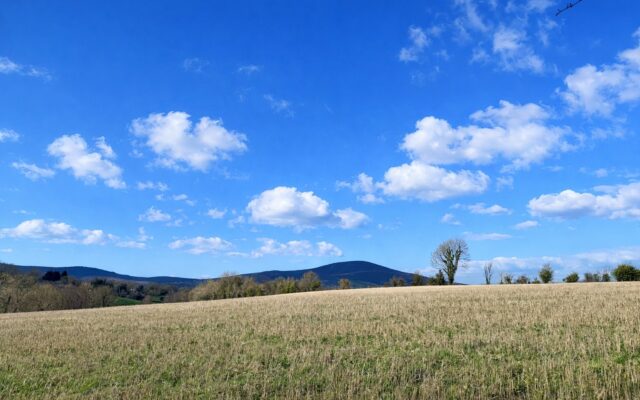 Garraun Upper, Rathnure, Enniscorthy, Co. Wexford – Auction Report