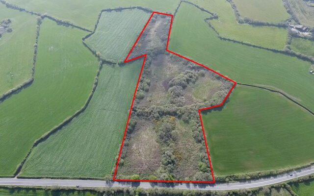 Scarnagh Lower, Coolgreany, Co. Wexford – Auction Report