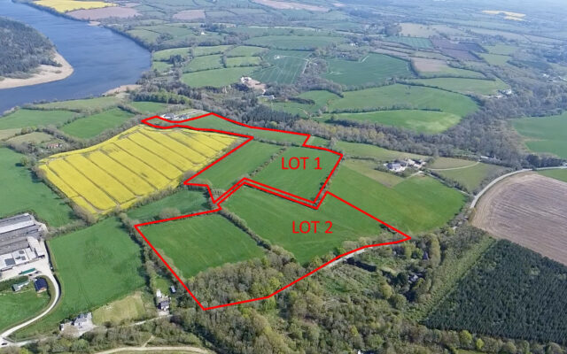 The Deeps, Crossabeg, Co. Wexford – Auction Report