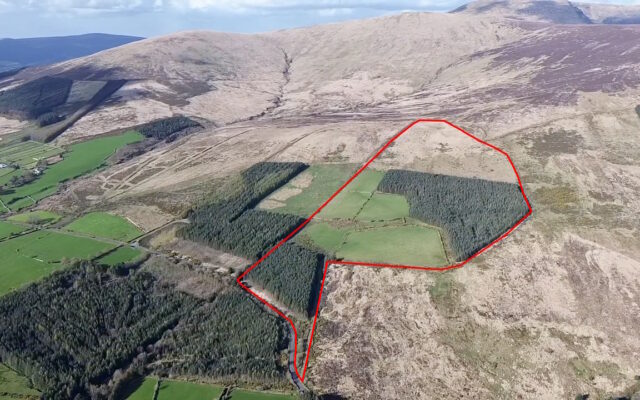 Toorboy, Rathdangan, Co. Wicklow – Auction Report
