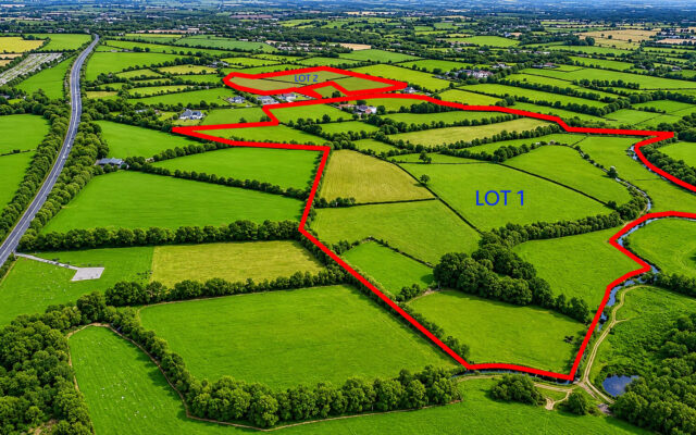 Assagart, Foulksmills, Co. Wexford – Auction Report