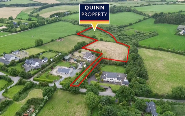 Killahurler, Arklow, Co. Wicklow – Auction Report