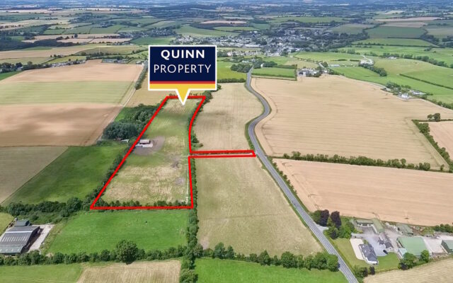 Abbeyland, Castledermot, Co. Kildare – Auction Report