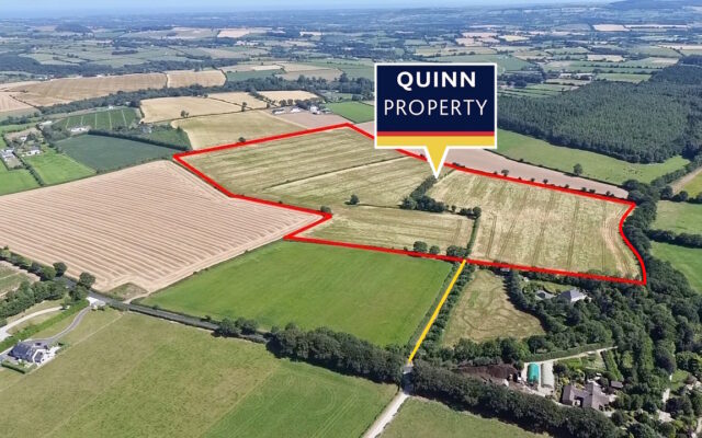 Carriglegan, Camolin, Co. Wexford – Auction Report