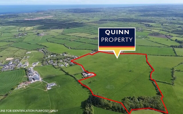 Arragurtin, Gorey, Co. Wexford – Auction Report